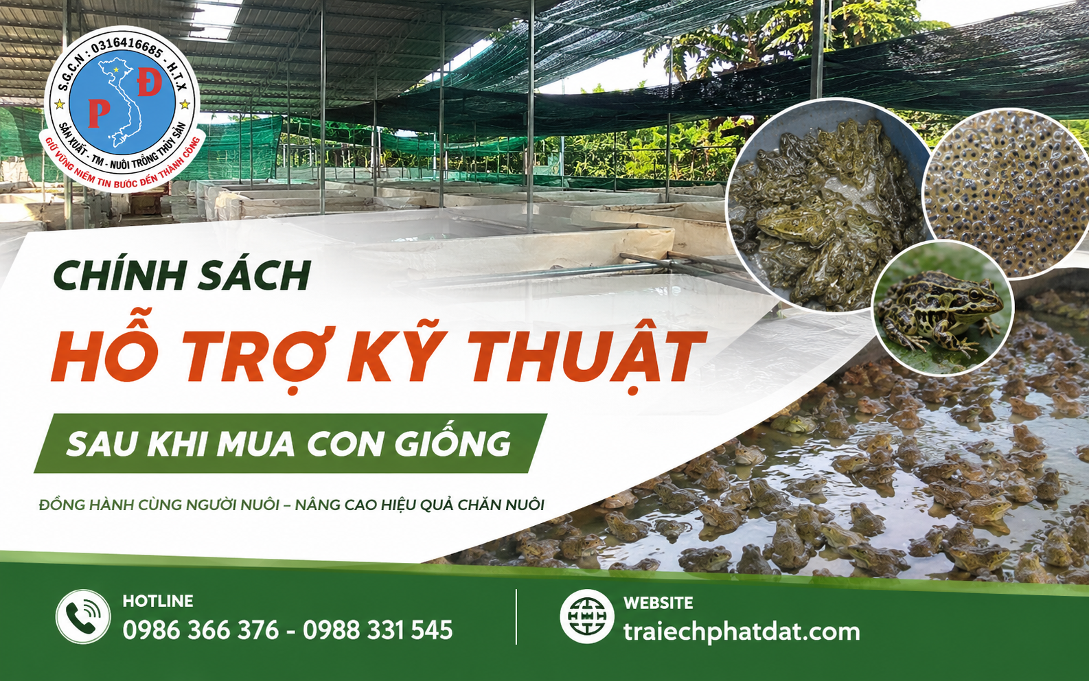 trại ếch giống củ chi