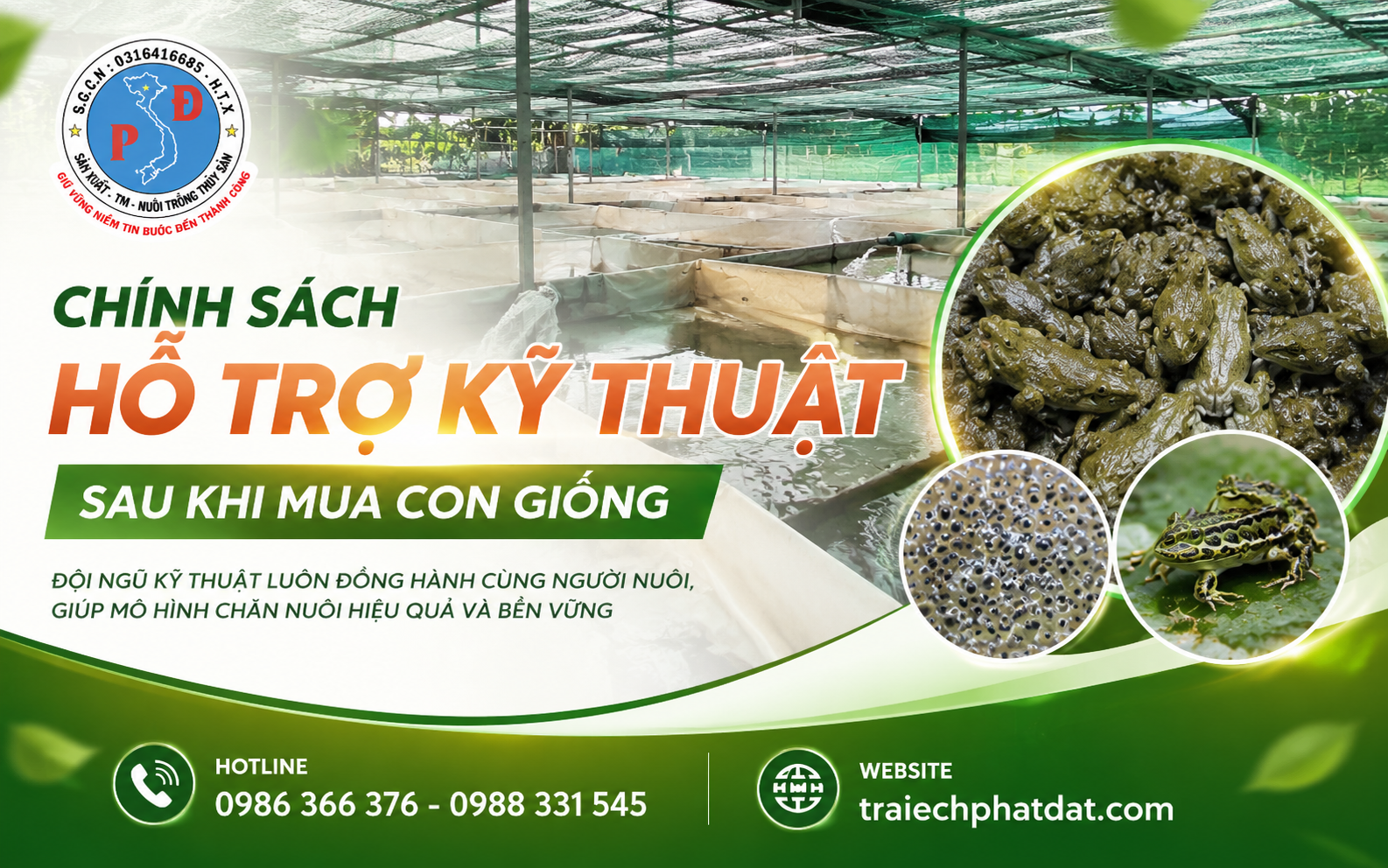 TỰ HÀO LÀ ĐƠN VỊ ĐỒNG HÀNH VỚI BÀ CON TRONG VIỆC NUÔI ẾCH GIỐNG
