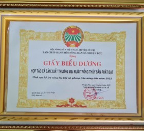 GIẤY BIỂU DƯƠNG DO BCH HỘI NÔNG DÂN XÃ NHUẬN ĐỨC - HUYỆN CỦ CHI TRAO TẶNG 2022