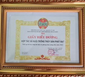 GIẤY BIỂU DƯƠNG DO BCH HỘI NÔNG DÂN XÃ NHUẬN ĐỨC - HUYỆN CỦ CHI TRAO TẶNG NĂM 2021
