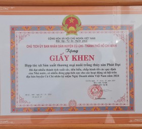 GIẤY KHEN DO CHỦ TỊCH UBND HUYỆN CỦ CHI TRAO TẶNG NĂM 2024