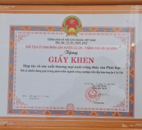 GIẤY KHEN DO CHỦ TỊCH UBND HUYỆN CỦ CHI TRAO TẶNG NĂM 2024 (nhân kỷ niệm ngày Doanh Nhân Việt Nam)