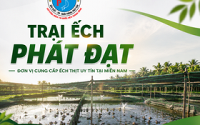 Trại Ếch Phát Đạt – Đơn Vị Cung Cấp Ếch Thịt Uy Tín Tại Miền Nam