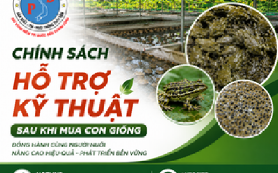 Chính Sách Hỗ Trợ Kỹ Thuật Sau Khi Mua Con Giống | Trại Ếch Giống Phát Đạt