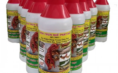 Tác Dụng Của Dịch Trùn Quế Đối Với Chăn Nuôi