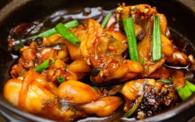 CÁC MÓN ĂN CHẾ BIẾN TỪ ẾCH
