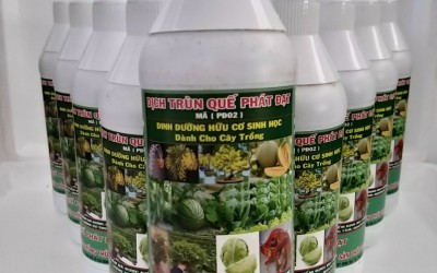 Tác Dụng Của Dịch Trùn Quế Đối Với Cây Trồng