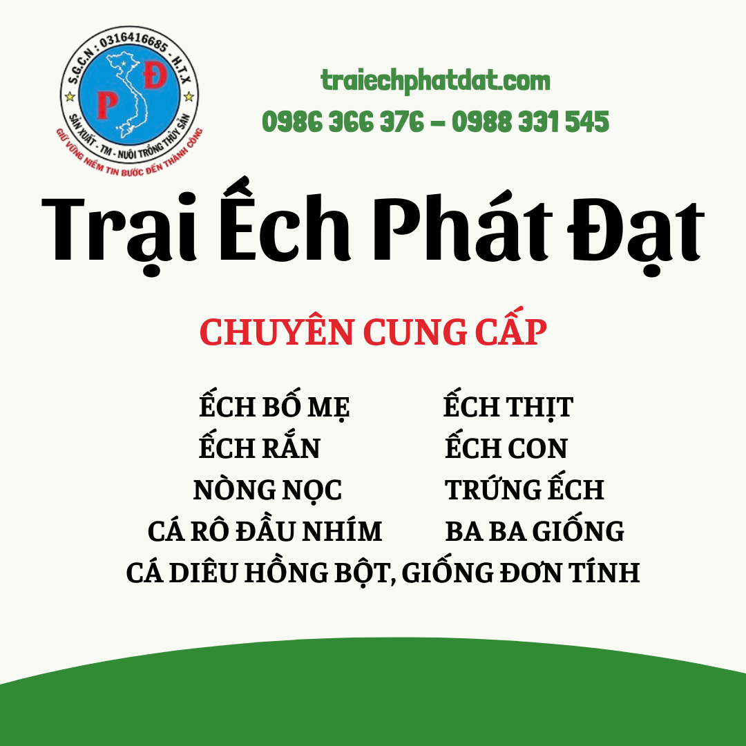 Giới thiệu
