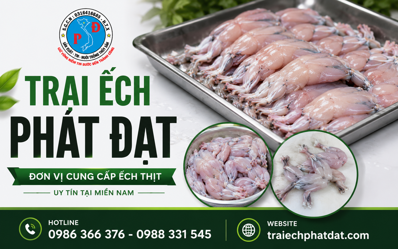 Chuyên cung cấp ếch thịt sơ chế cho các chuỗi siêu thị tại miền nam