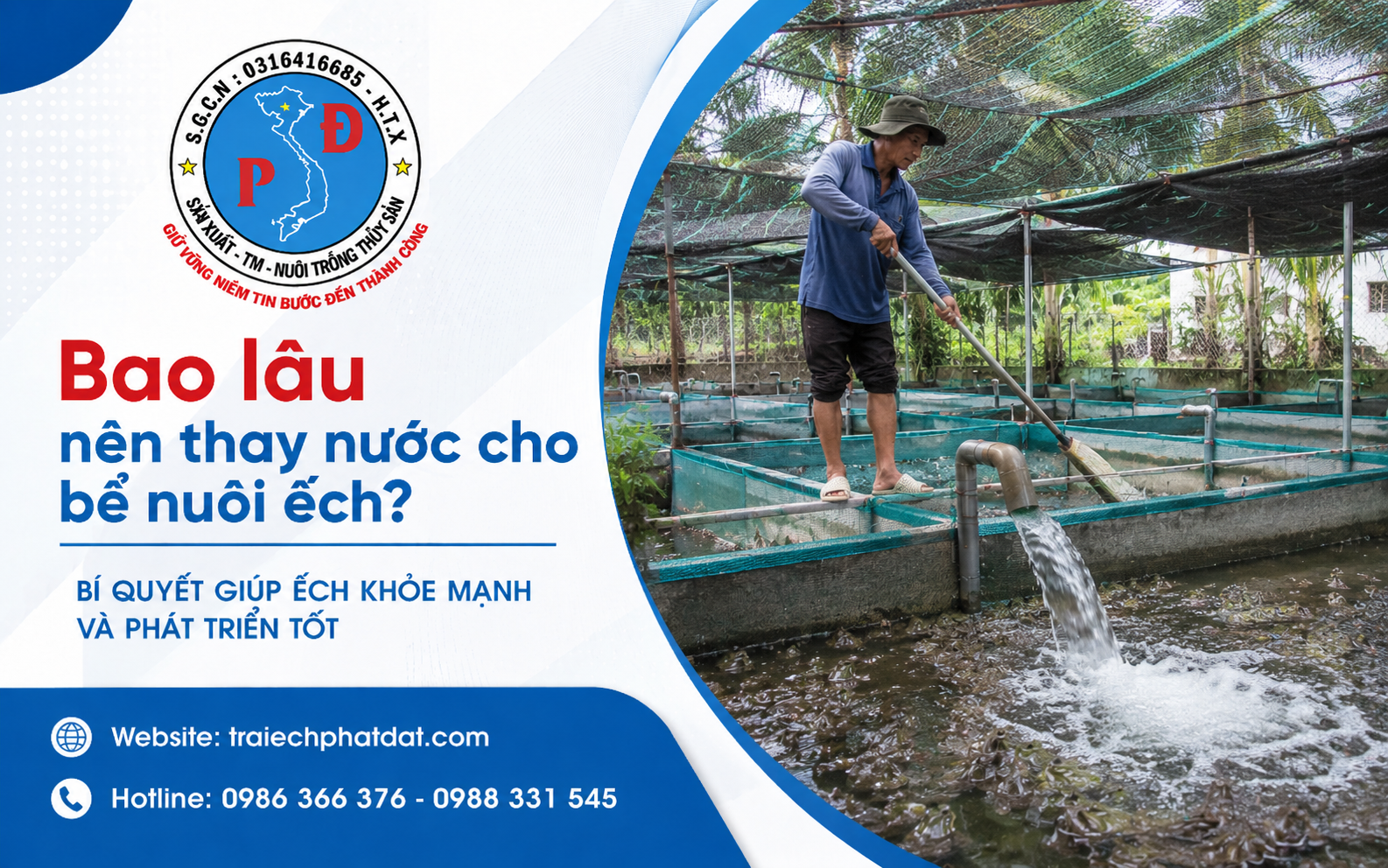 những bể nuôi mật độ cao cần được kiểm tra thường xuyên hơn và chủ động thay nước khi cần thiết.