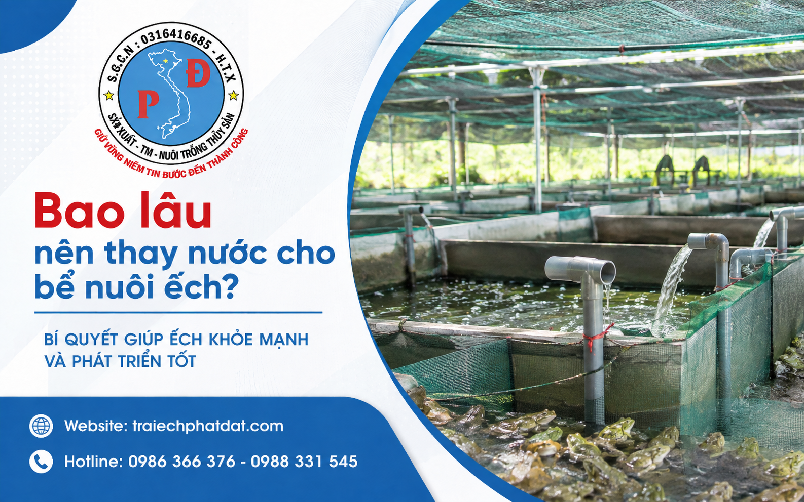 người nuôi có thể chủ động thay một phần nước khi nước bắt đầu có dấu hiệu ô nhiễm