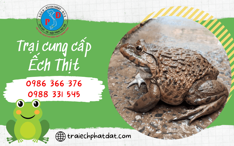 Trại Ếch Phát Đạt