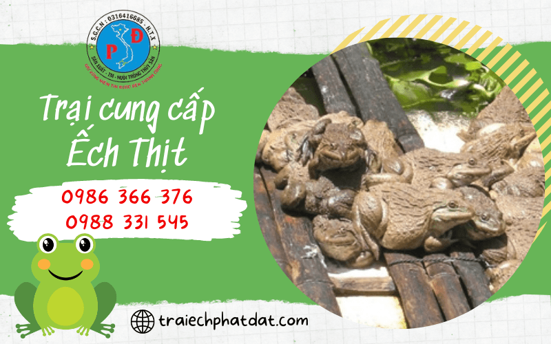 Trại Ếch Phát Đạt