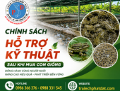 Chính Sách Hỗ Trợ Kỹ Thuật Sau Khi Mua Con Giống | Trại Ếch Giống Phát Đạt