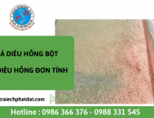 Giới thiệu về cá diêu hồng bột và cá diêu hồng giống đơn tính