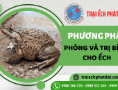 Các phương pháp phòng và trị bệnh cho ếch hiệu quả